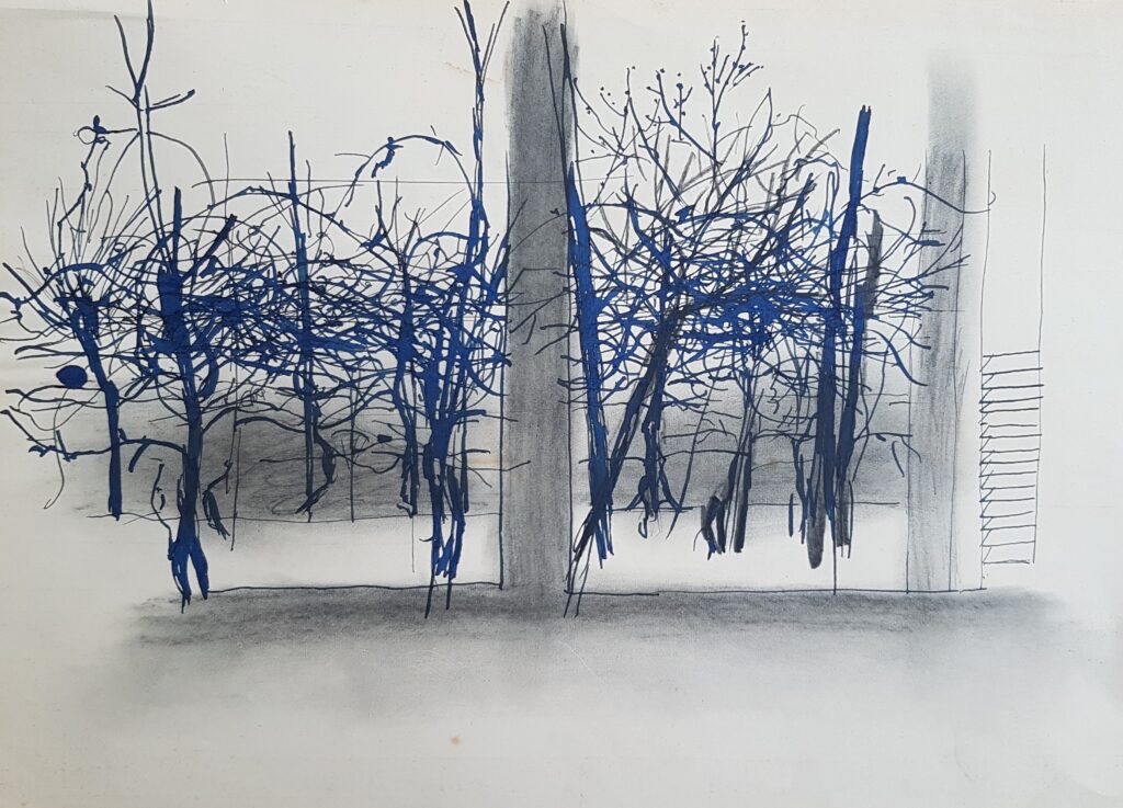 Winterlandschaft Pedrinate