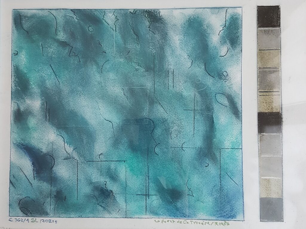 Doppelbild – Landschaft mit 25 Quadraten – La forêt de la Trouère 2011